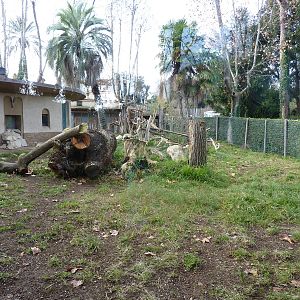 Bioparco Roma - Lemur enclosure