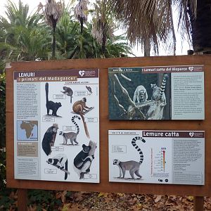 Bioparco Roma - Lemur signage