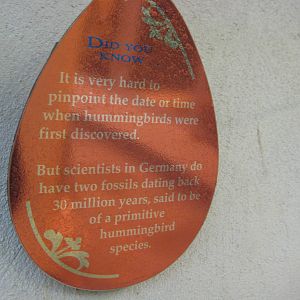 Sign that makes no sense!