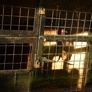 My Anti-Climatic Final Picture of Zambar