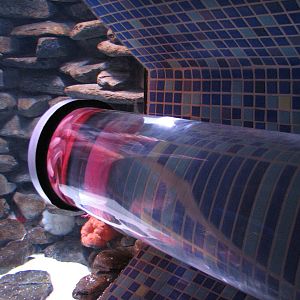 Manta Aquarium - Giant Pacific Octopus Exhibit Tube