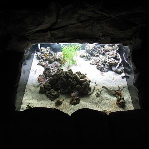 Manta Aquarium - Seafloor Exhibit