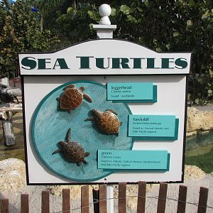 Turtle Point - Sign