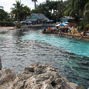 Dolphin Cove