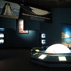 Penguin Encounter - Education Room