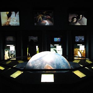 Penguin Encounter - Education Room