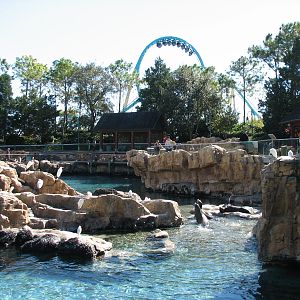 Pacific Point Preserve