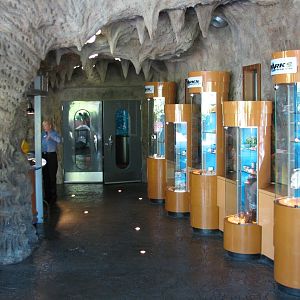 Sharks Underwater Grill - Entry