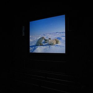 Wild Arctic - Scene from Intro Film or Motion Simulator Ride
