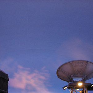 Wild Arctic - Simulated Twilight Skies