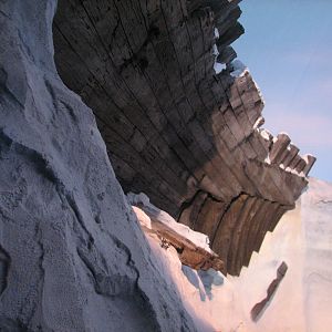 Wild Arctic - Polar Bear Exhibit Shipwreck