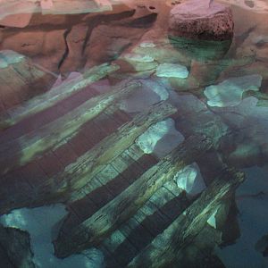 Wild Arctic - Polar Bear Exhibit Pool with Sunken Shipwreck