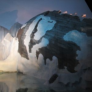 Wild Arctic - Walrus Exhibit Shipwreck