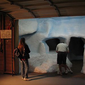 Wild Arctic - Polar Bear Den Play Area
