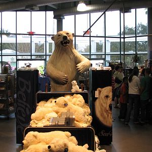 Wild Arctic - Gift Shop