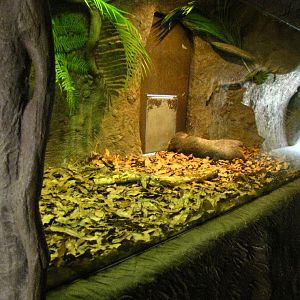 Wombats Enclosure - Aust Zoo Feb 09