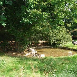 Giant Anteater/Crested Screamer Enclosure