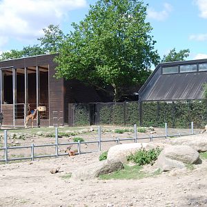 Savannha and Giraff House