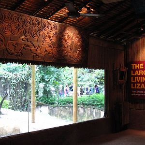 Komodo Dragon viewing hut