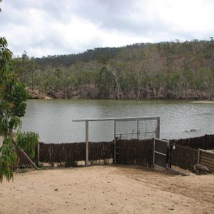 Cairns Wildlife Safari Reserve - Common Hippopotamus lake and feeding pens