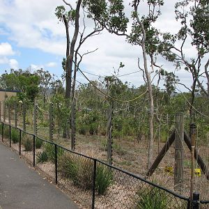 Cairns Wildlife Safari Reserve - Trail leading past the Spider Monkey enclo