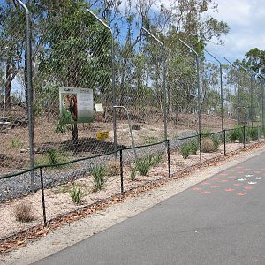 Cairns Wildlife Safari Reserve - Trail leading past the Tiger enclosure