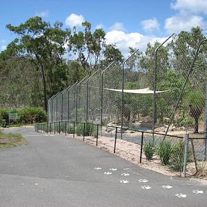 Cairns Wildlife Safari Reserve - Trail leading down by the Tiger enclosure