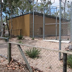 Cairns Wildlife Safari Reserve - Lion cub building