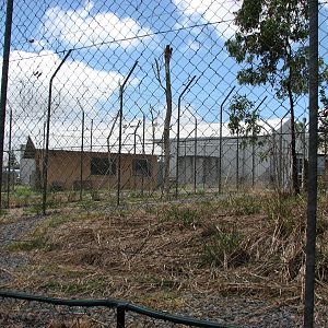 Cairns Wildlife Safari Reserve - One of the lion enclosures