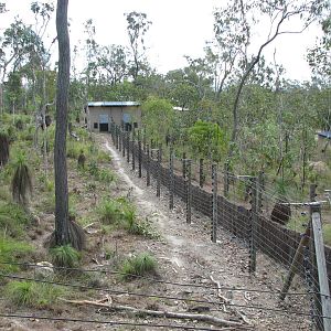 Cairns Wildlife Safari Reserve - Perimeter of one of the monkey enclosures