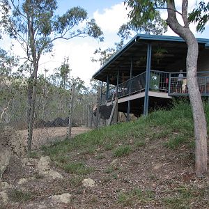 Cairns Wildlife Safari Reserve - Viewpoint over the Ostrich enclosure