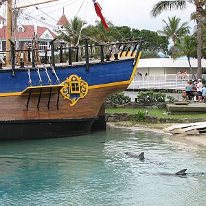 Sea World Gold Coast - Dolphin Lagoon