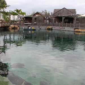 Sea World Gold Coast - Ray Pool