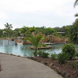 Sea World Gold Coast - Dolphin Lagoon