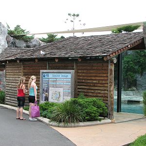 Sea World Gold Coast - Front of Polar Bear exhibit