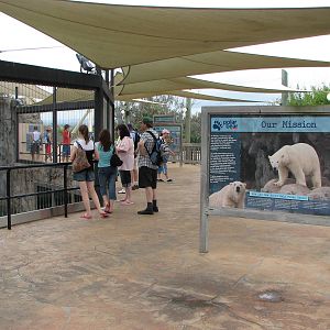Sea World Gold Coast - Front of Polar Bear exhibit
