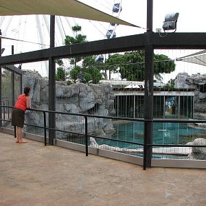 Sea World Gold Coast - Front of Polar Bear exhibit