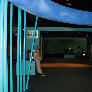 Sea World Gold Coast - Inside Dugong Discovery