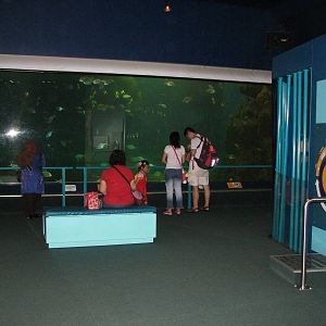 Sea World Gold Coast - Inside Dugong Discovery