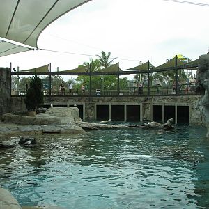 Sea World Gold Coast - View inside the Polar Bear exhibit