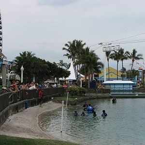 Sea World Gold Coast - Dolphin encounter