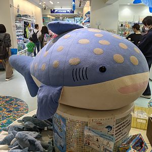 Whale Shark toy in gift shop