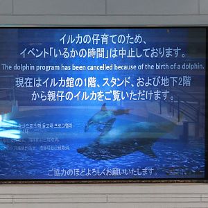 Dolphin signage
