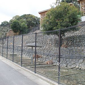 Deer enclosures - Hirakawa Zoo (Kagoshima)
