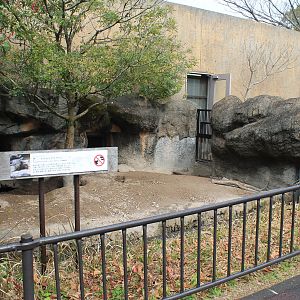 Crested Porcupine enclosures - Hirakawa Zoo (Kagoshima)