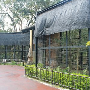 Birds of prey aviaries - Hirakawa Zoo (Kagoshima)