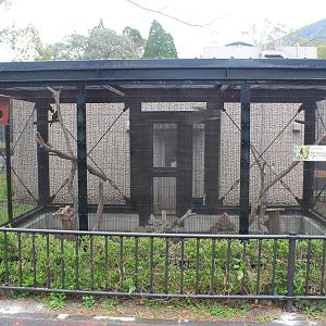 Lidth's Jay (Garrulus lidthi) aviary - Hirakawa Zoo (Kagoshima)