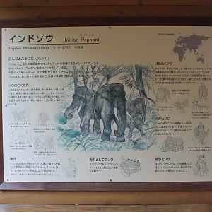Indian Elephant signage - Hirakawa Zoo (Kagoshima)