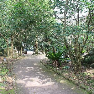Walk-through aviary - Hirakawa Zoo (Kagoshima)