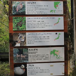 Walk-through aviary signage - Hirakawa Zoo (Kagoshima)